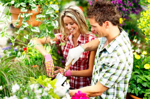 Accepted payment methods for Tree Surgeons Highgate including card and PayPal