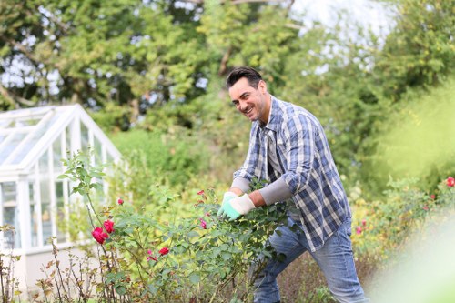 Arborist inspecting tree health in a residential garden