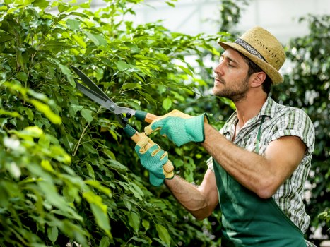 Policy update notice for Tree Surgeons Highgate